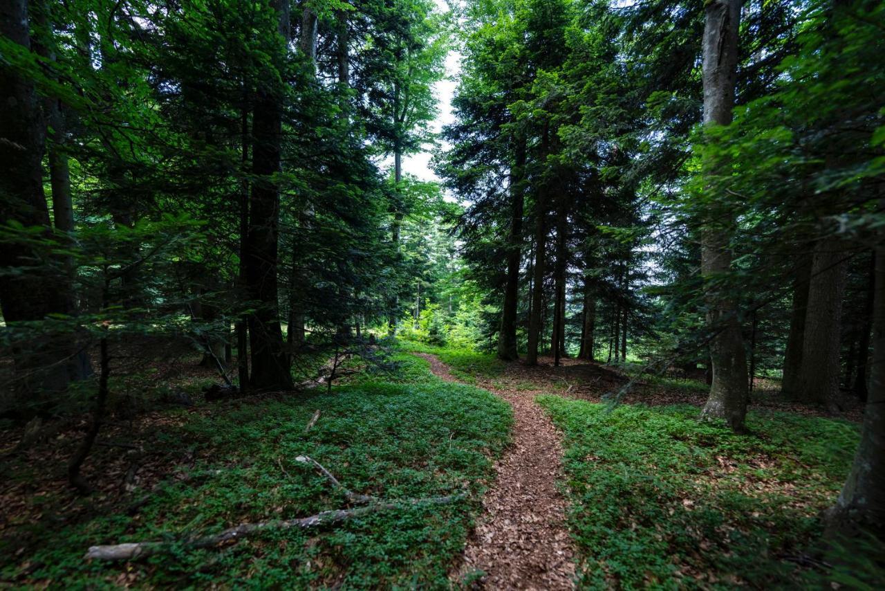 Pohorje Village Wellbeing Resort - Forest Apartments Videc Hocko Pohorje Ngoại thất bức ảnh